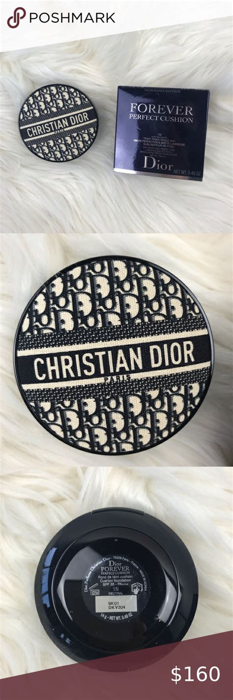 dior oblique cushion